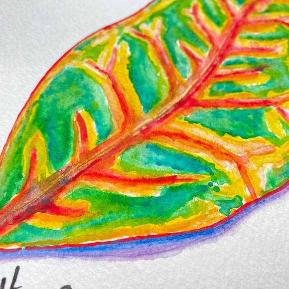 Original Art ‘Colorful Croton’ Acrylic Marker Painting 11x14 Frame Ready - Picture 2 of 4